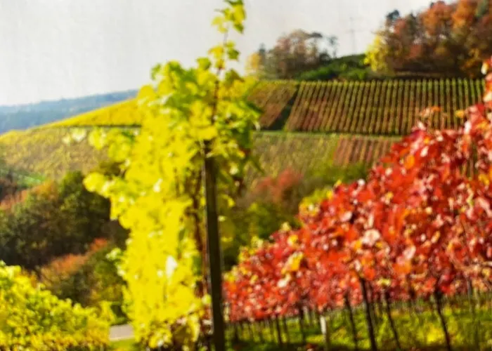 Main Ξενοδοχείο